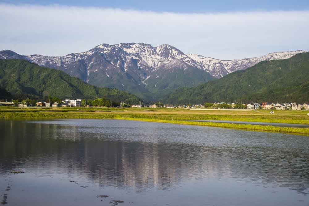 南魚沼城内の春